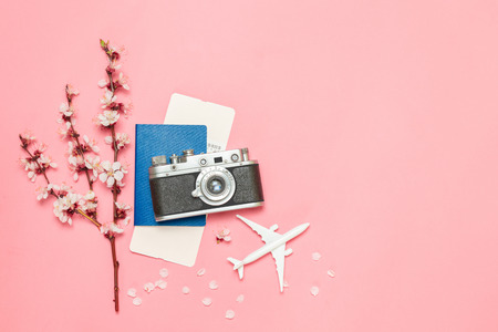 Travel Planning. Airplane, sprigs of flowers, plane tickets. camera and passport on pink background with copy space.の写真素材