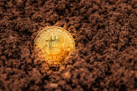 Bitcoin coin in the ground, treasure. Close-up of a golden bitcoin currency