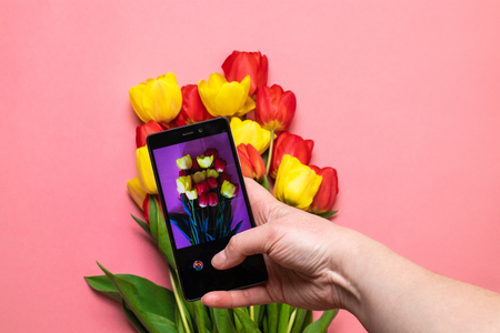 Female hands taking photo of beautiful flowers with smartphoneの写真素材