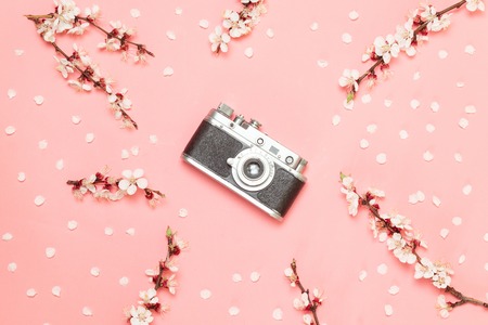 Vintage camera with a pink flower. Old camera on a pink background.の写真素材
