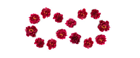 Spring concept. Infinity sign in the form of red peonies on a white background