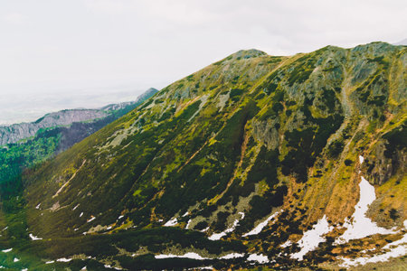 Summer mountain landscape with green tall dense trees, a valley and snow-covered stone rocks. Travel...
