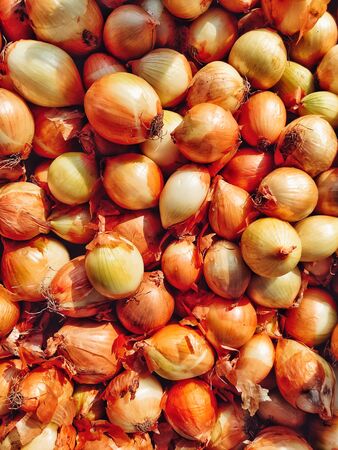 Fresh onions. Onions background. Ripe onions. Onions in marketの写真素材