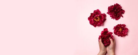 Woman hold peony flower on pink background. Flat lay, top view. Valentine's Day.の写真素材