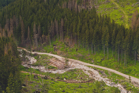 Illegal logging. Beautiful view of Zakopane Tatra Mountains Kasprowy Wierch in the summer. Travel...