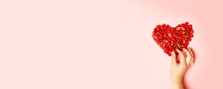 Assorted ripe red berries of raspberries, currants and strawberries, and a female hand takes a berry...