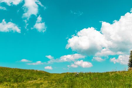 Panorama of a beautiful countryside. sunny day Grassy fields and hills. Rural scenery against the blue skyの写真素材