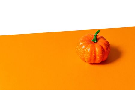 Bright ripe pumpkin with a ponytail on an orange-white background. Empty space for your text.の写真素材