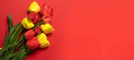 International Women Day on a red background. Creative concept of red and yellow tulips on a red background. Flat lay.の写真素材
