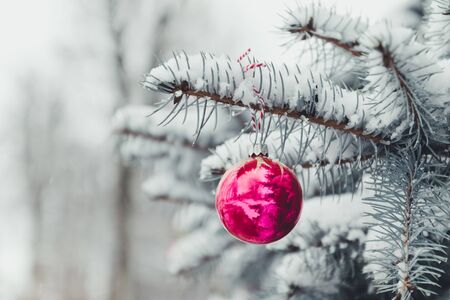Merry Christmas and Happy Holidays greeting card or banner, decorated red toy ball Christmas tree. New Year. Noel.の写真素材