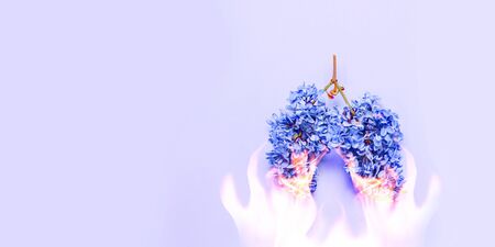 Pneumonia concept, burnt lungs. Human lungs in the form of lilac flowers on a blue background with copyspace.の写真素材