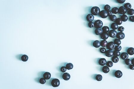 Tasty ripe blueberries pattern on blue background, top view, flat layの写真素材