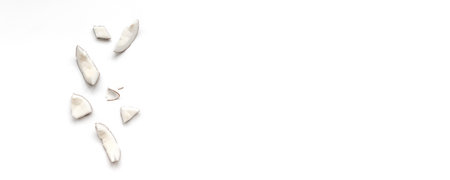 Coconut pieces on a white background with copyspace