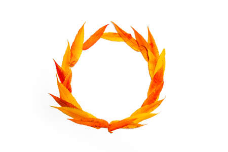 Autumn circle frame with yellow and red leaf on a white background. Flat lay, top view, copy spaceの写真素材