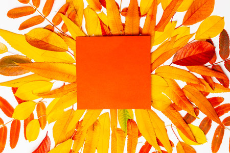 Autumn flat background with red paper frame and autumn leaves on autumn yellow and red leaves...