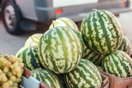 A lot of watermelon fruits in the market. Ripe watermelons in the store on the tray. Sale of fruit,...