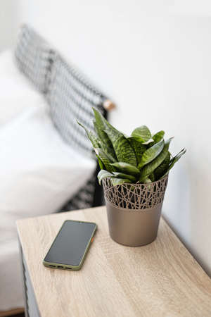 Black smartphone on the nightstand. Green plant in a flowerpot on the table in the bedroom against the background of the bed. Vertical photo orientationの写真素材