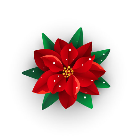 Merry Christmas bouquet poinsettia with snow on the petals isolated on white backgroundのイラスト素材