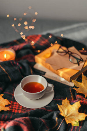 Hot cup of tea with autumn leaves, a stack of books and a light garland decor on a brown plaid in...
