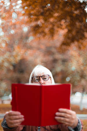 Closeup of thoughtful concentrated senior woman in glasses and casual clothes is reading a book while relaxing in the parkの写真素材