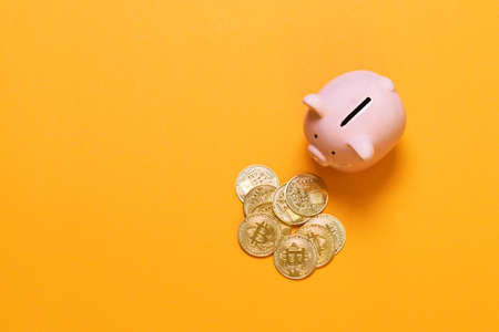 Piggy Bank pig with Golden bitcoin, hodl investment conceptの写真素材