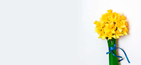 bright bouquet, fragrant spring flowers, daffodils on a blue background with space for textの写真素材