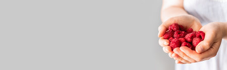 Woman hands holding raspberries with copy space on grey wall background. Freshly harvest. Healthy eating, dieting fruitsの写真素材