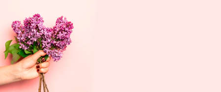Womans hand with a bouquet of colorful Blooming violet lilac flowers against pink wall on background.の写真素材