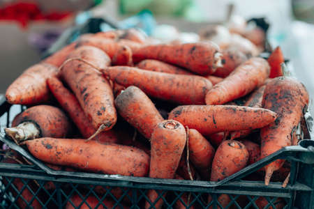 Dirty mature little carrot vegetables in plastic boxes on a farmers market. Fresh organic healthy vegetables at grocery storeの写真素材
