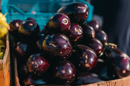 Fresh organic healthy eggplant vegetables in plastic boxes armers market.の写真素材