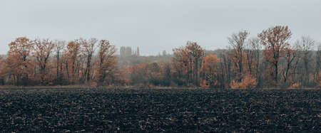 Plowed black soil field for planting fruits and vegetables in the new seasonの写真素材