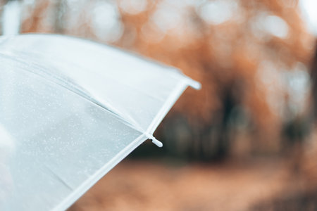 Transparent umbrella on a cold rainy day. Rainy weather concept. Beautiful autumn parkの写真素材