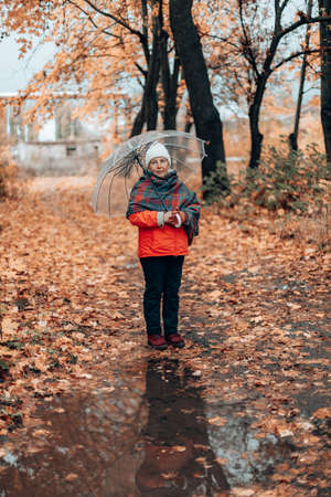 Adult woman in warm clothes with a transparent umbrella walks through the forest. Beautiful autumn landscape with yellow trees are reflected in a clear water puddle. Colorful foliage in the park.の写真素材
