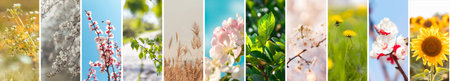 Spring banner. Spring in the forest, abstract natural backgrounds