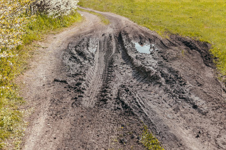 Tire tracks on a dirt road among the grass. Broken, forest, dirt, road. Track on grass field.の写真素材