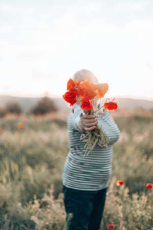 Caucasian woman hand holding a bouquet of poppy flower on meadow background at sunsetの写真素材