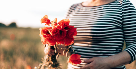 Woman hand holding red poppies bouquet at sunset in the field