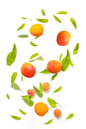 Falling juicy ripe apricot with green leaves isolated on white background. Flying defocusing slices of fruit.の写真素材