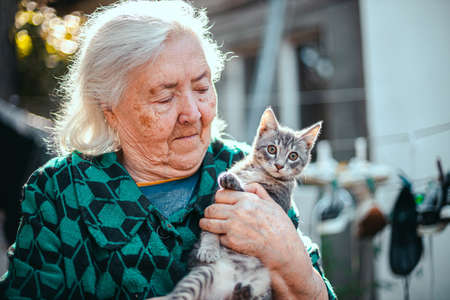ODESSA, UKRAINE - September 21, 2020: Gray-haired senior elderly woman hugging domestic lovely fluffy little kitten outdoors. Pets, friendship, trust, love, lifestyle concept.のeditorial素材