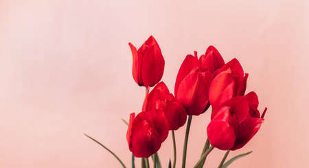 Bouquet of beautiful red spring tulips flowers on pastel pink background. Valentines day, women day concept. Mothers day holiday greetingの写真素材