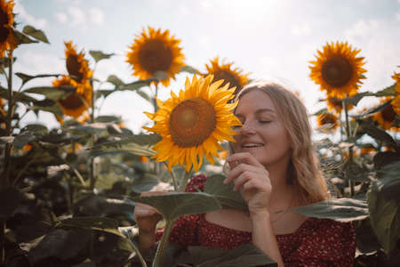 Adorable young caucasian girl posing in a sunflower field in the sun light. Woman in red summer style dress with open hands over cloudy blue skyの写真素材