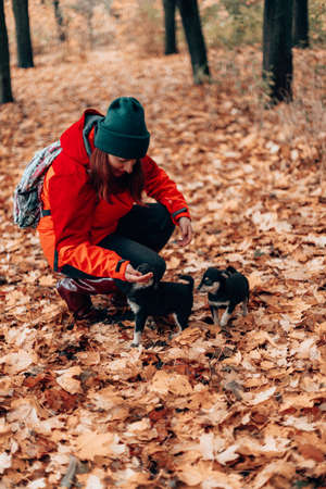 Hiking with the dog, A young girl in sports uniform walks with two puppies in a autumn forest. Woman with transparent umbrellaの写真素材