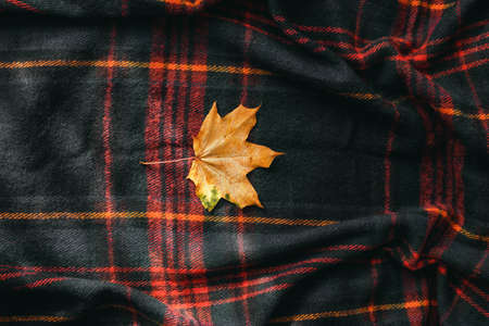 Dried yellow maple leaf on a dark checkered background. Flat lay top view. Autumn creative compositionの写真素材