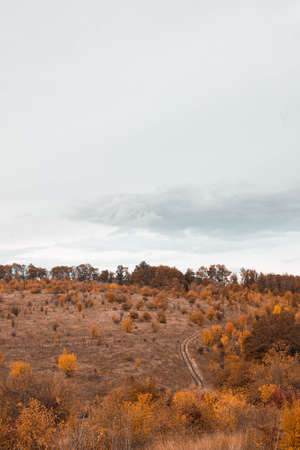 Scenic view of fall winding hiking trail through the fieldの写真素材