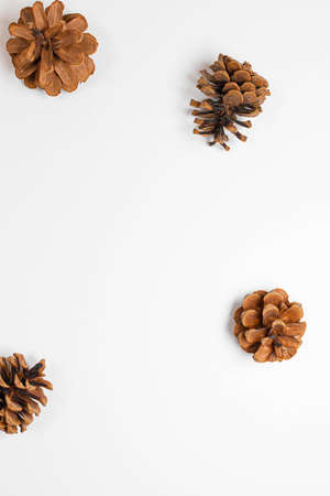 Christmas composition. Nature pine cones on white background. Christmas, winter, new year concept. Flat lay, top viewの写真素材