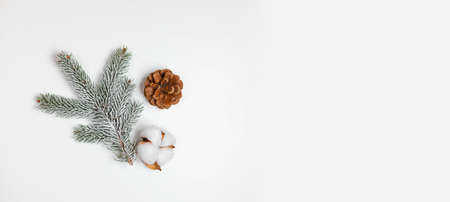 Christmas composition. Pine cones with nature evergreen fir sprigs on white background. Christmas, winter, new year concept. Top view, flat lay, copy spaceの写真素材