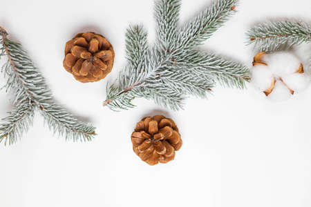 Christmas composition. Pine cones with nature evergreen fir sprigs on white background. Christmas, winter, new year concept. Flat lay, top viewの写真素材