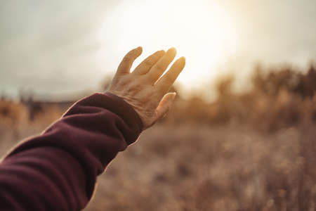 Female hand reaches for bright sunlight during sunsetの写真素材