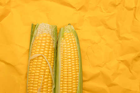 Two fresh raw corn on a yellow background, top viewの写真素材