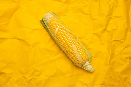 Swing of corn on yellow background. Minimalism food flat lay. Top viewの写真素材